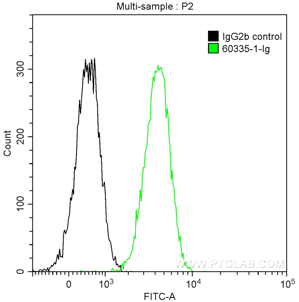 E-cadherin Monoclonal antibody