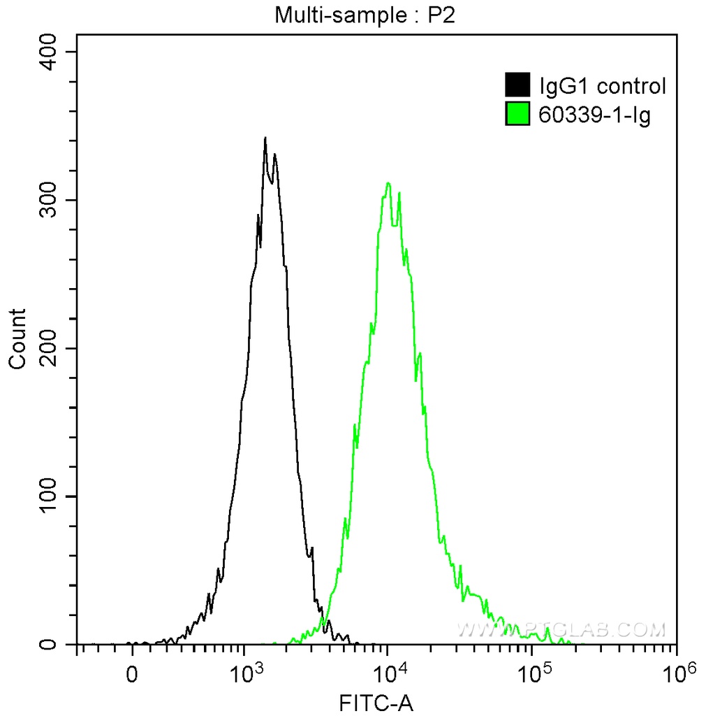 CX3CL1 Monoclonal antibody
