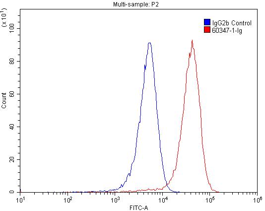 CD3 Gamma Monoclonal antibody