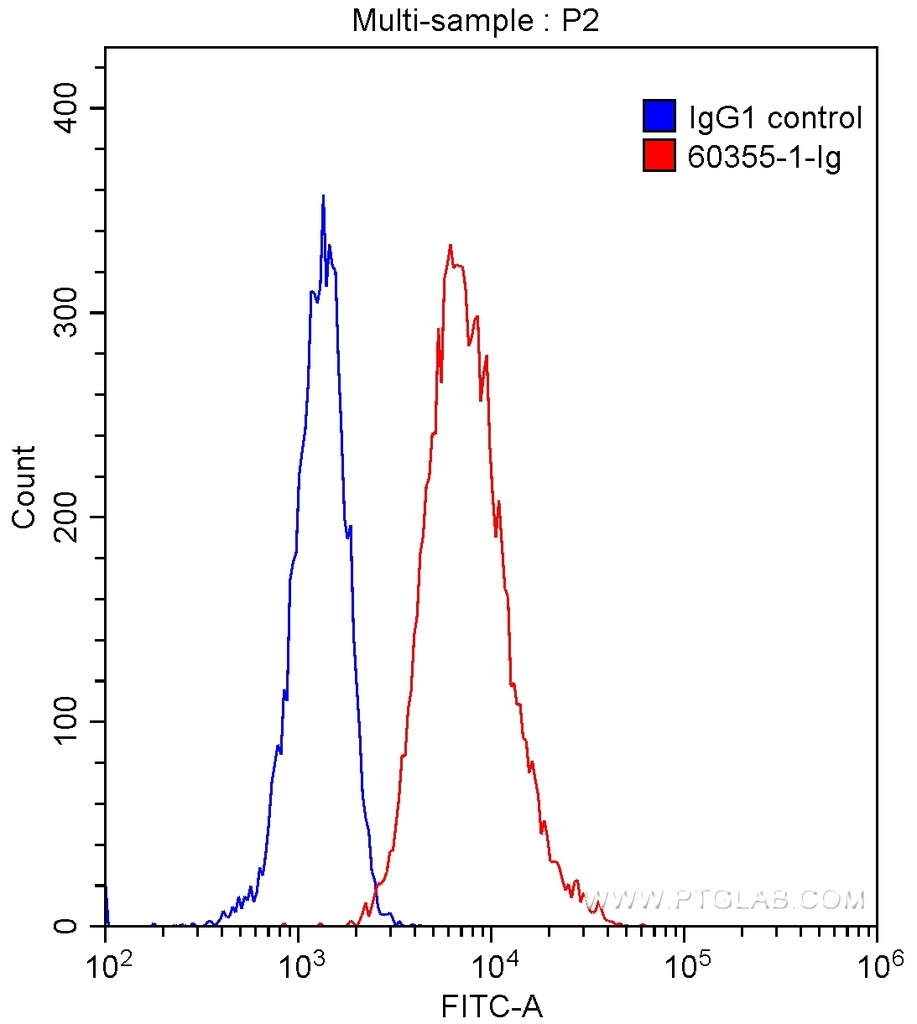 TIM3 Monoclonal antibody