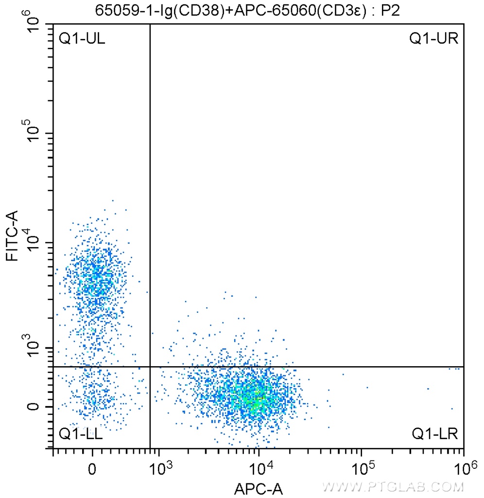 Anti-Mouse CD38 (90)