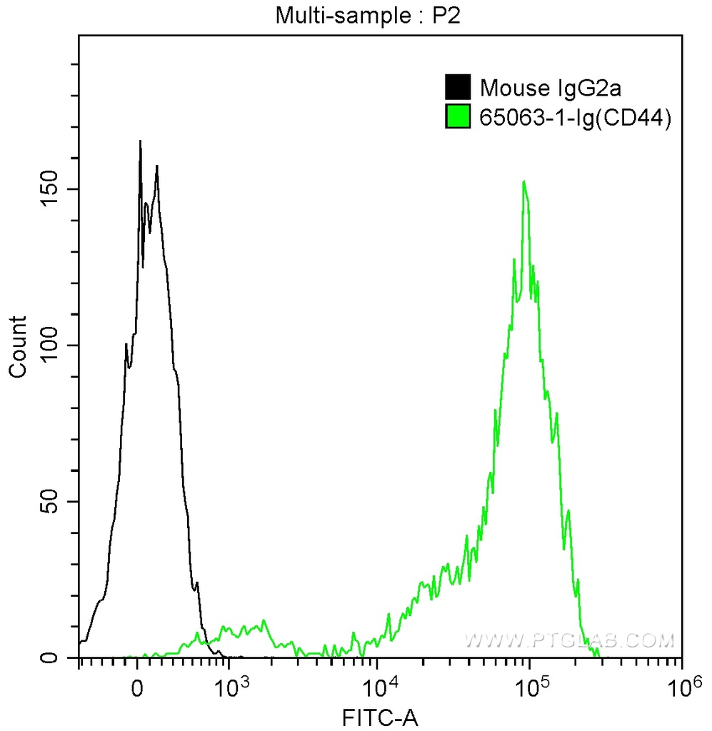 Anti-Human CD44 (F10-44-2)