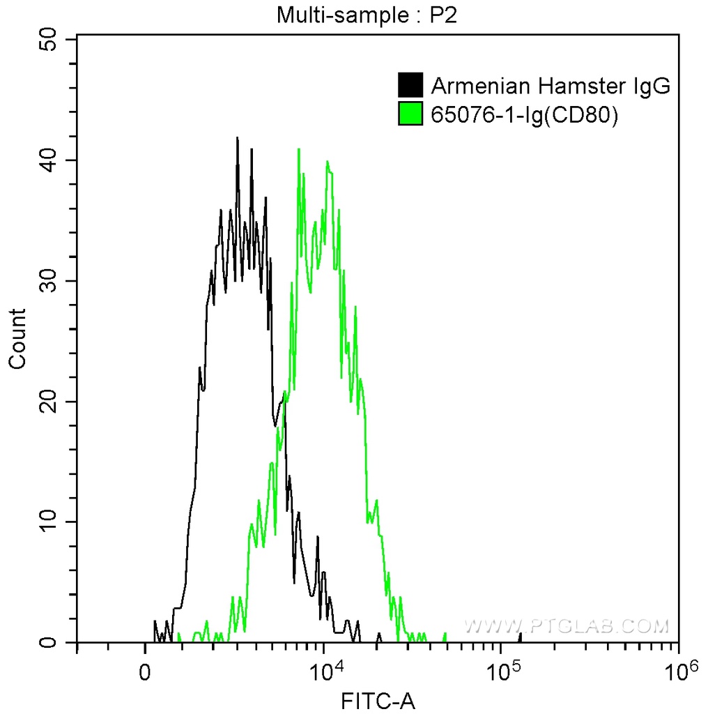 Anti-Mouse CD80 (B7-1) (16-10A1)