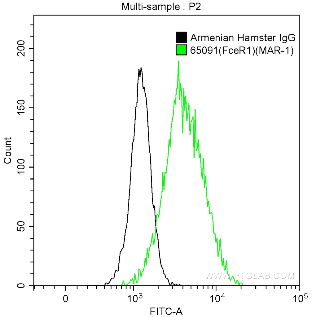 Anti-Mouse FceR1 (MAR-1)