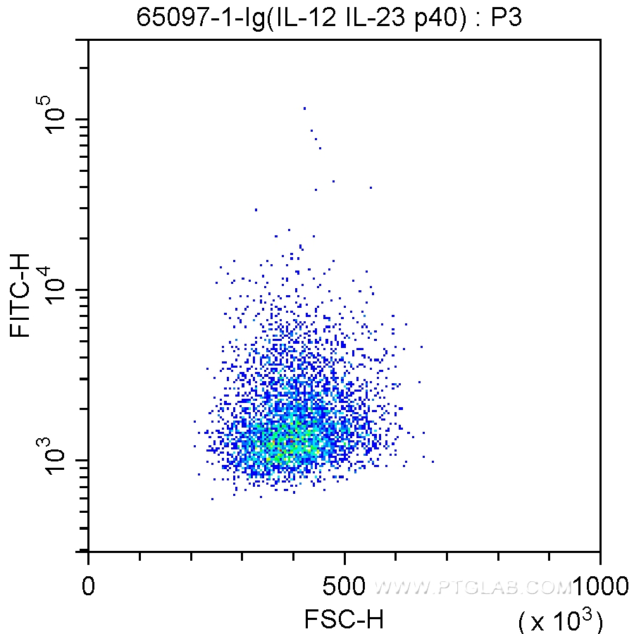 Anti-Mouse IL-12/IL-23 p40 (C17.8)