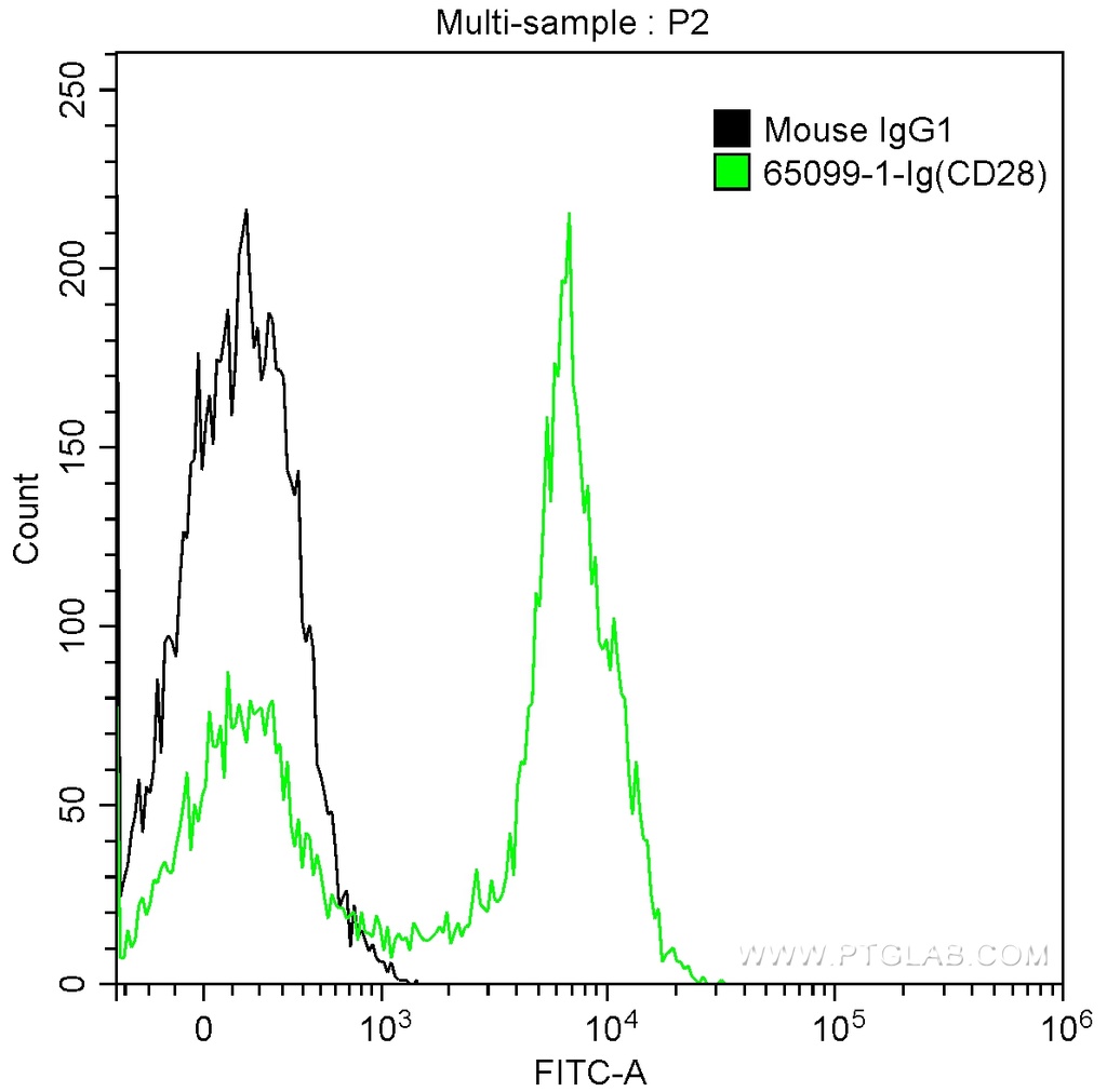 Anti-Human CD28 (CD28.2)