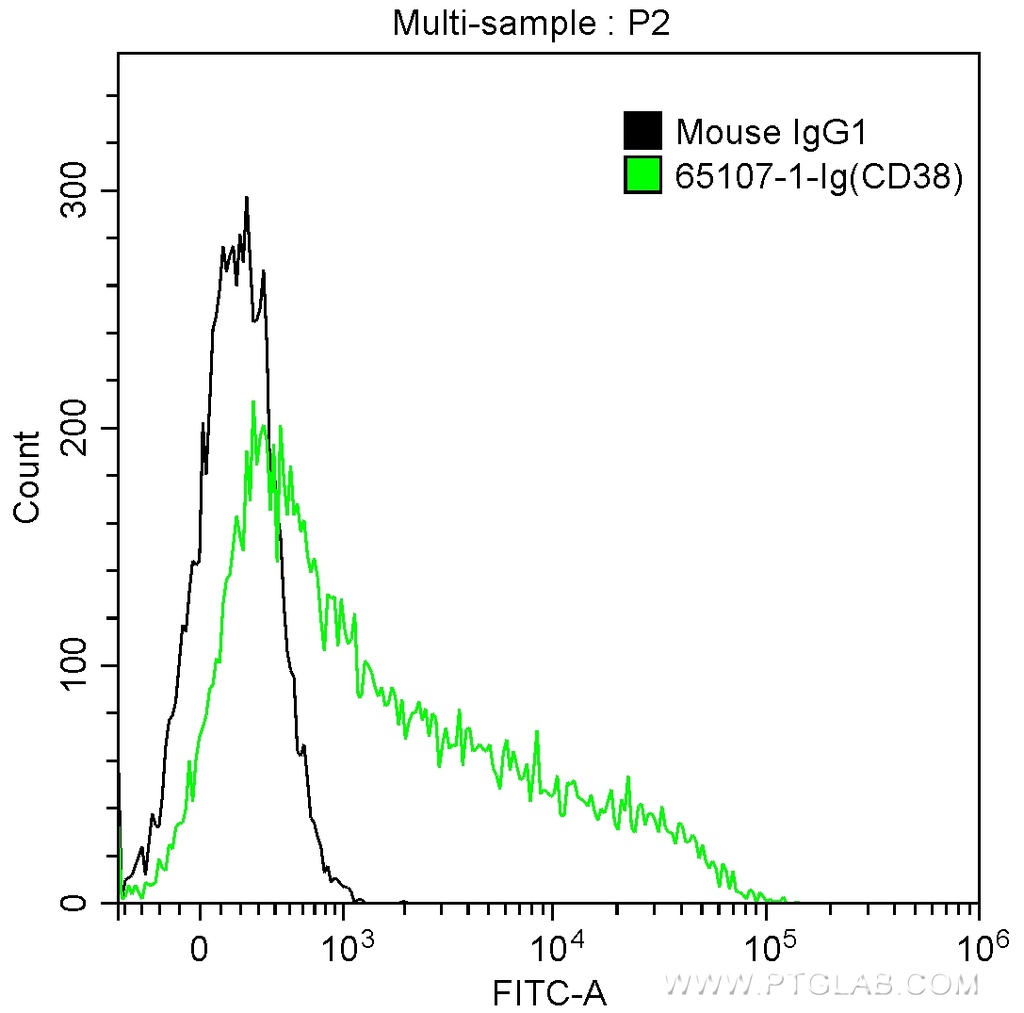 Anti-Human CD38 (HB7)