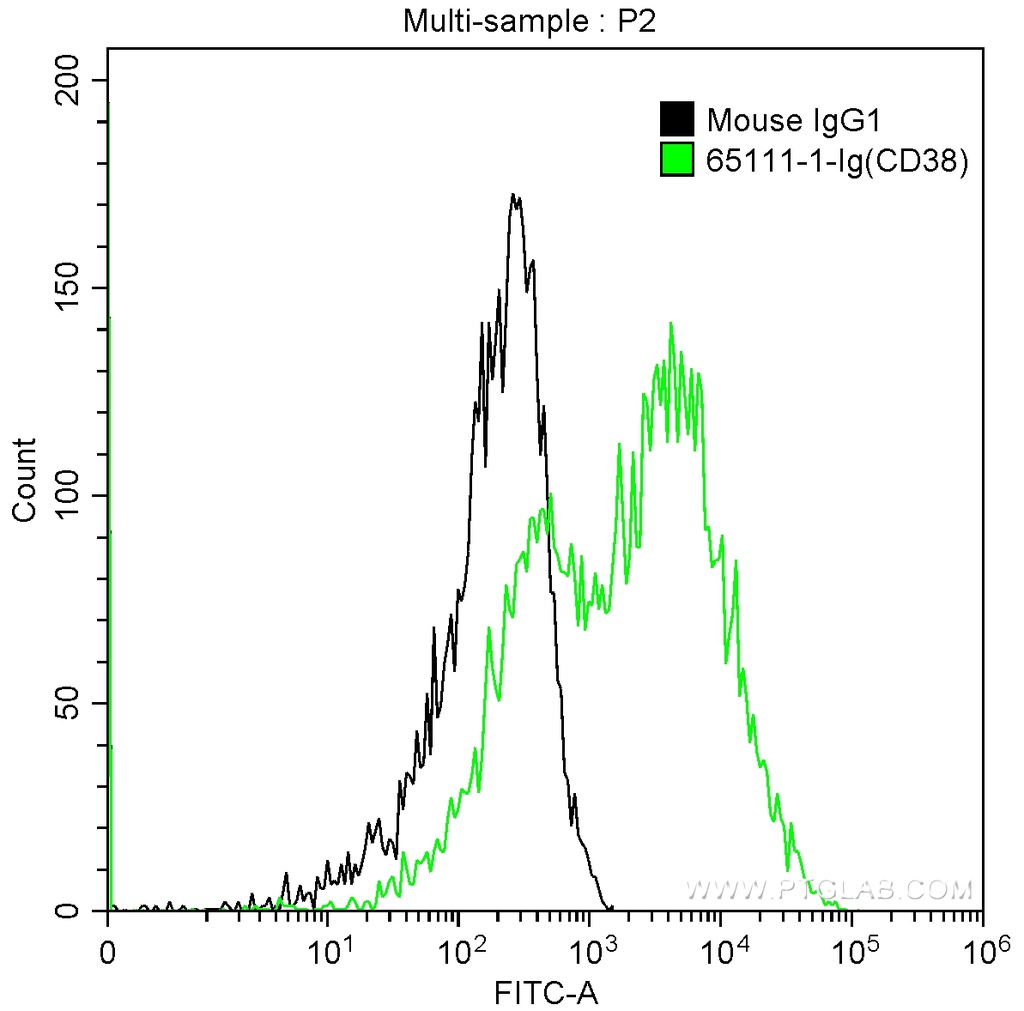 Anti-Human CD38 (HIT2)