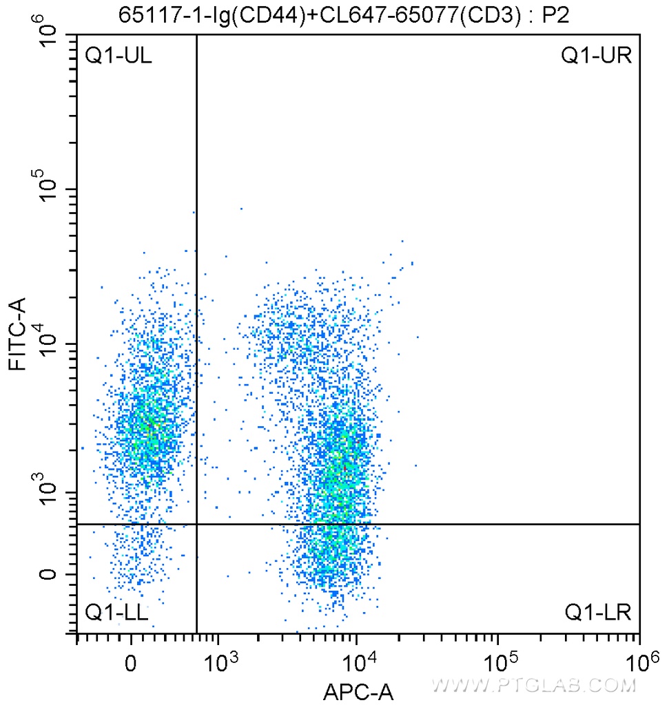 Anti-Mouse CD44 (IM7)