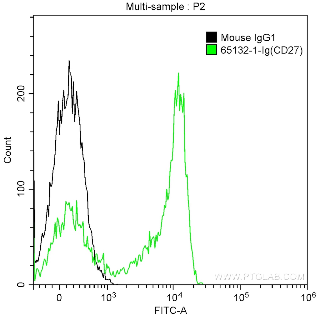 Anti-Human CD27 (O323)