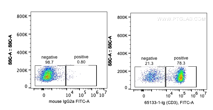 Anti-Human CD3 (OKT3)