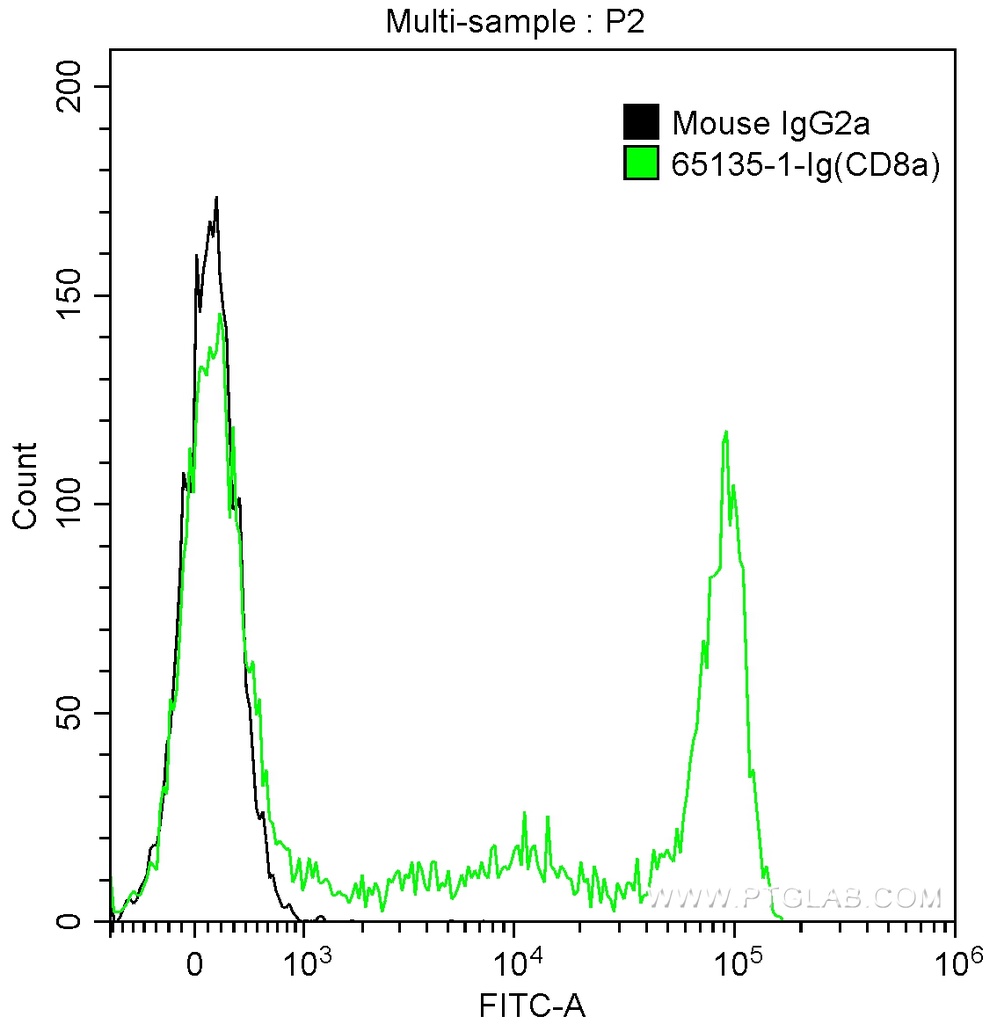 Anti-Human CD8a (OKT8)