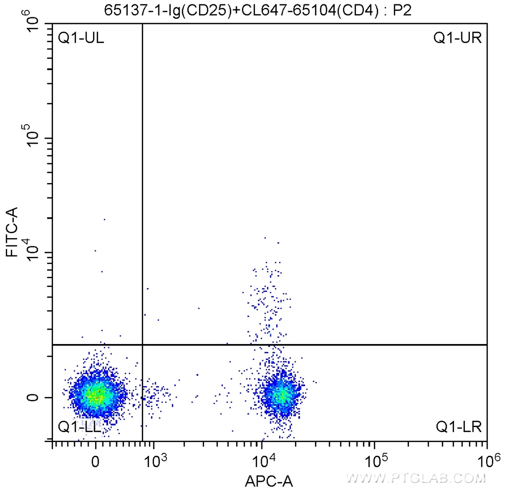 Anti-Mouse CD25 (PC61.5)