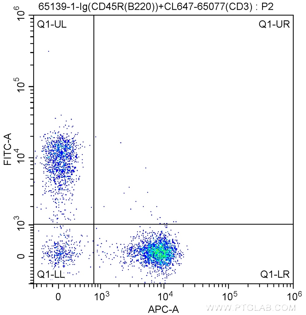 Anti-Mouse CD45R (B220) (RA3-6B2)