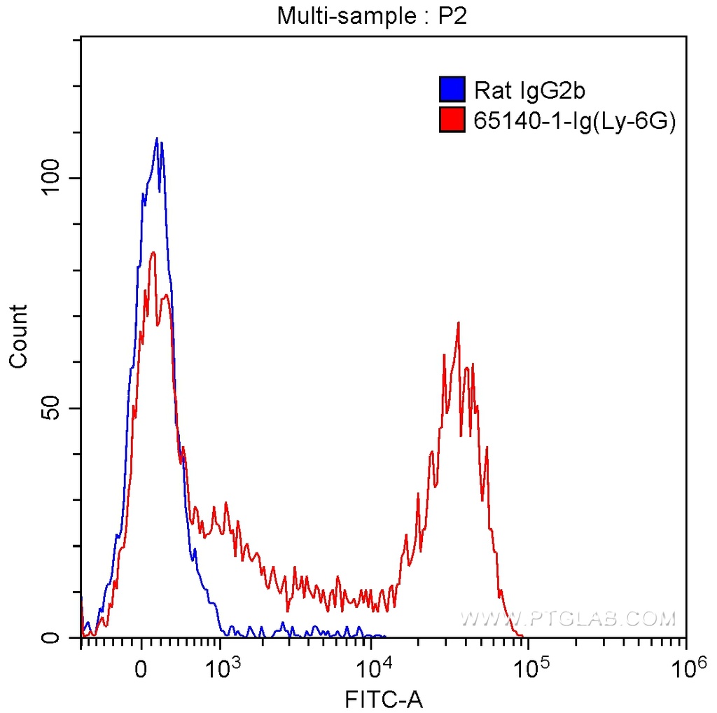 Anti-Mouse Ly-6G (Gr-1) (RB6-8C5)