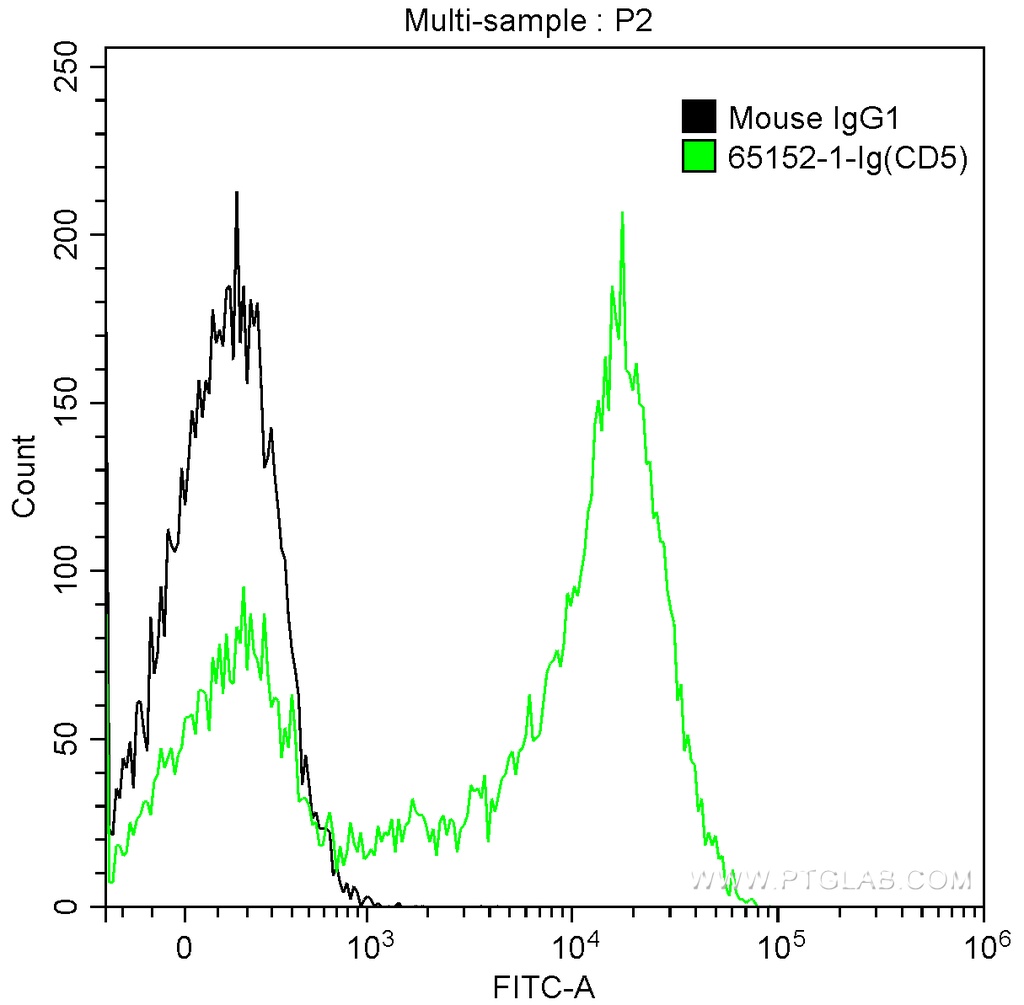 Anti-Human CD5 (UCHT2)