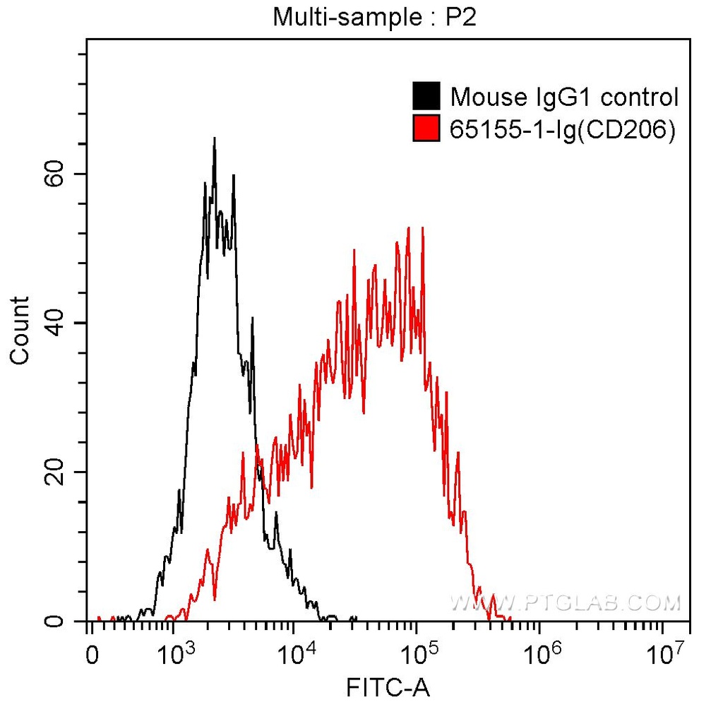 Anti-Human CD206 (15-2)