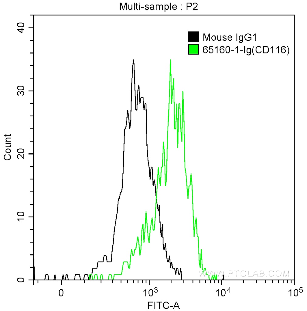 Anti-Human CD116 (4H1)
