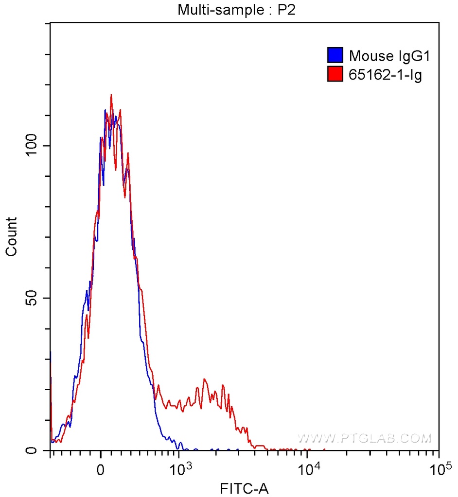 Anti-Human CD73 (AD2)