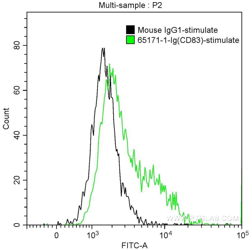Anti-Human CD83 (HB15e)