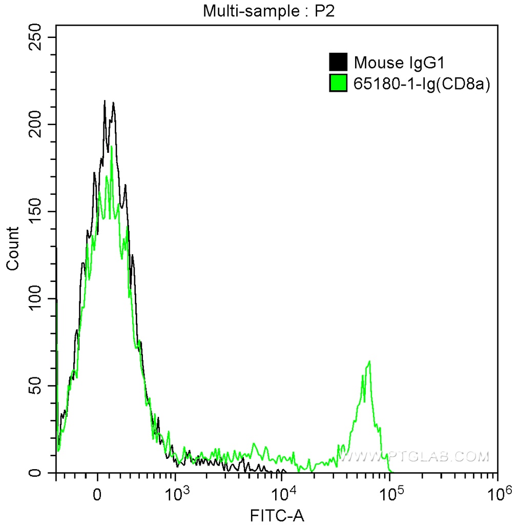 Anti-Rat CD8a (OX-8)