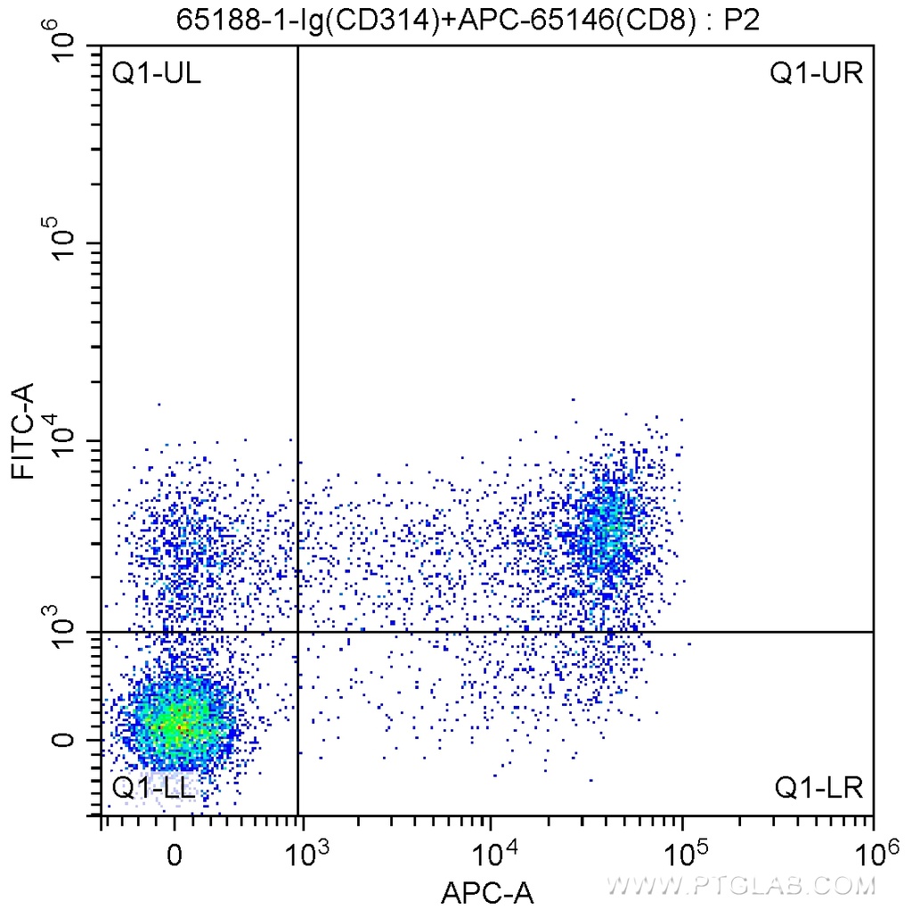 Anti-Human CD314 (1D11)