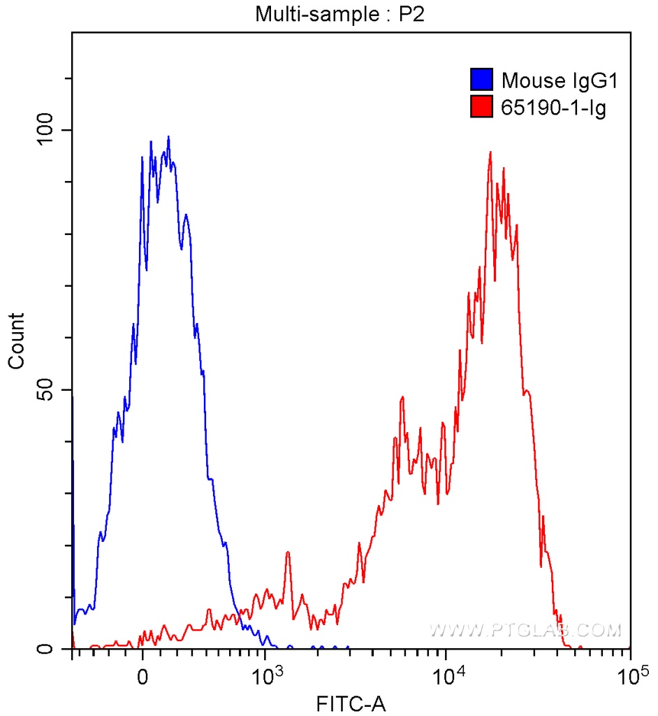 Anti-Human CD18 (TS1/18)