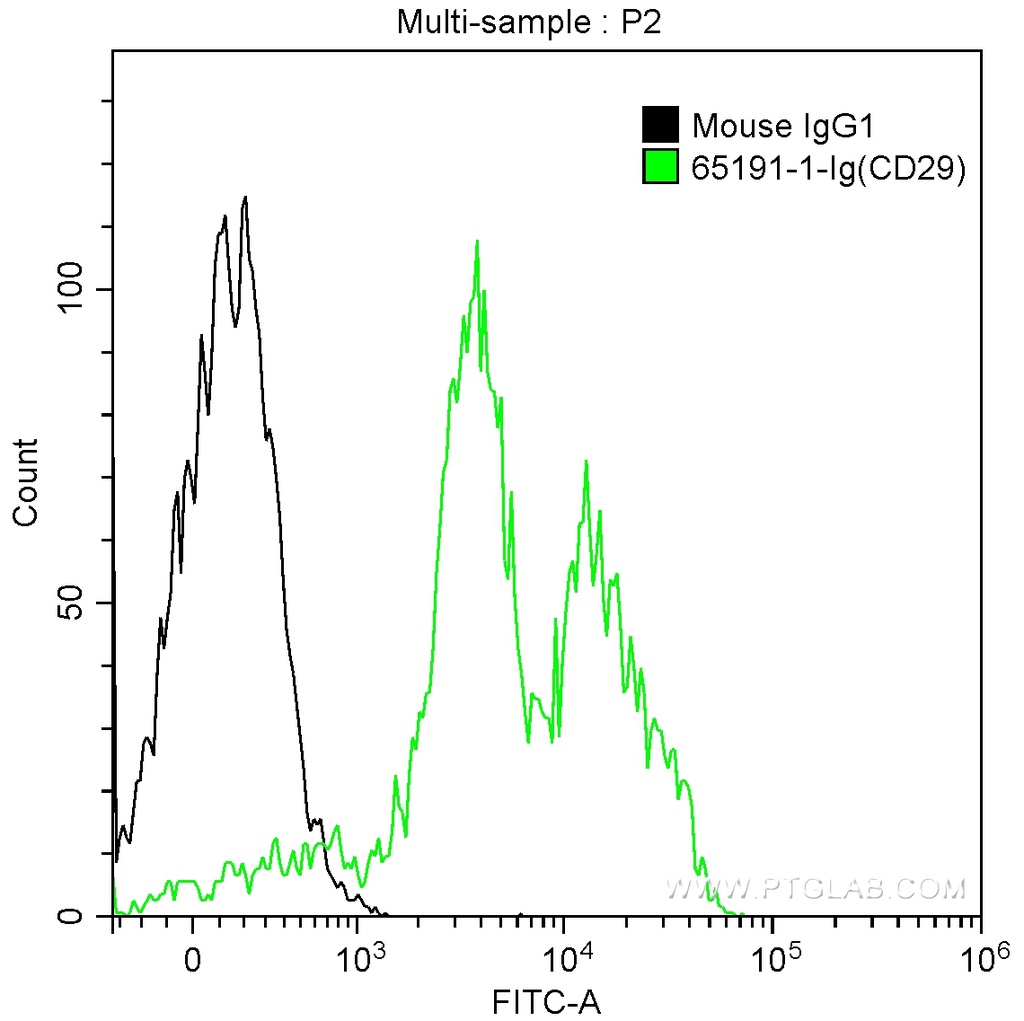 Anti-Human CD29 (TS2/16)