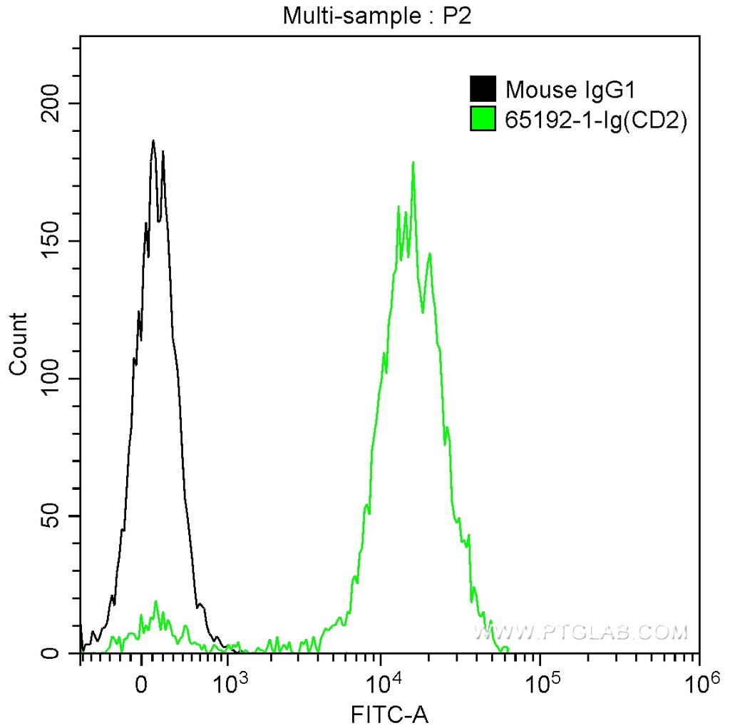 Anti-Human CD2 (TS1/8)