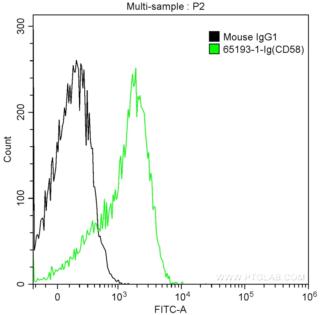 Anti-Human CD58 (TS2/9)