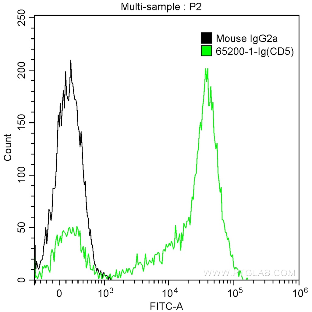 Anti-Human CD5 (L17F12)