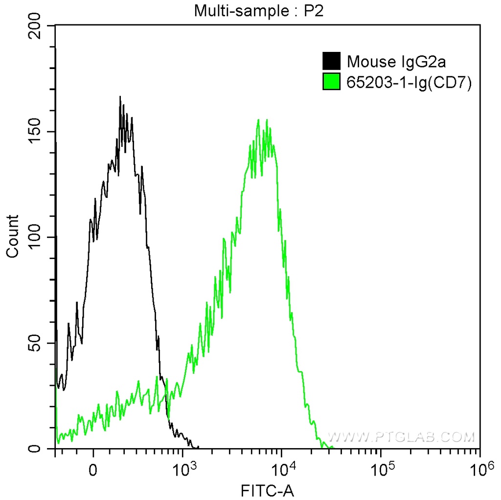 Anti-Human CD7 (4H9)