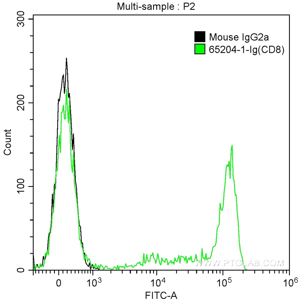 Anti-Human CD8 (UCHT4)