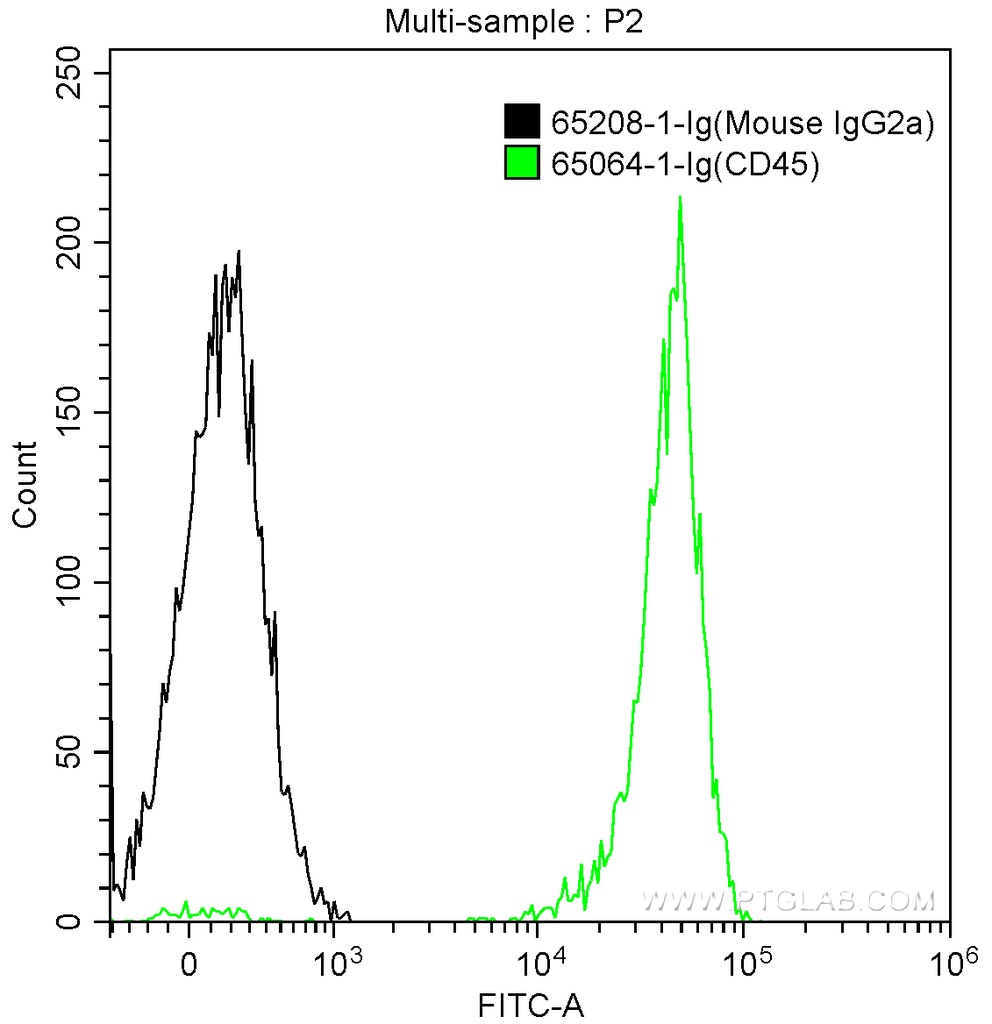Mouse IgG2a Isotype Control (C1.18.4)