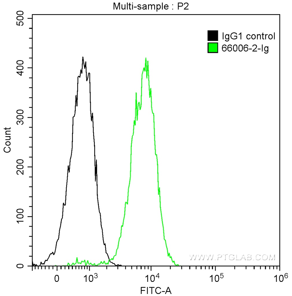 HA Tag Monoclonal antibody