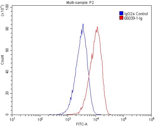 CPT1A Monoclonal antibody