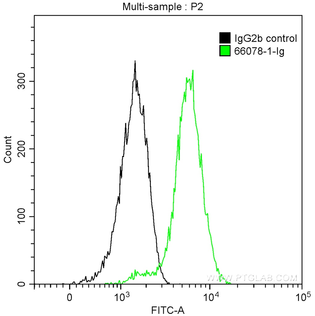 Alpha Antichymotrypsin Monoclonal antibody