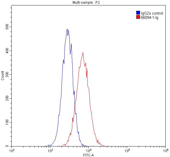 Fetuin-A Monoclonal antibody