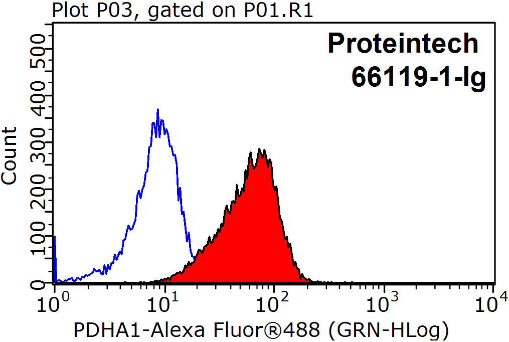 PDH E1 Alpha Monoclonal antibody