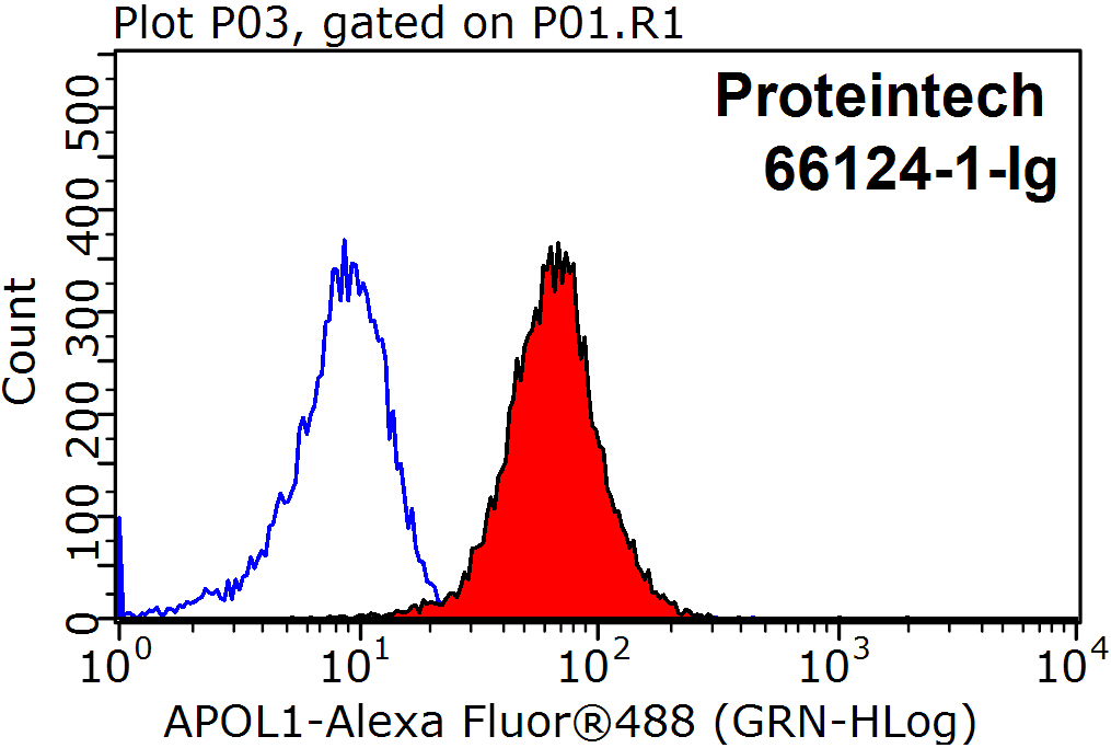 APOL1-Specific Monoclonal antibody