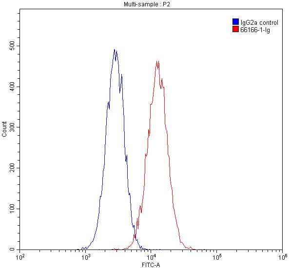 TBP Monoclonal antibody