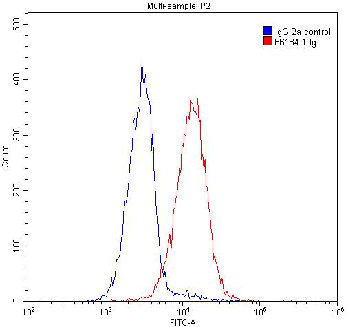 P62/SQSTM1 Monoclonal antibody