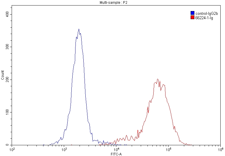 CD43 Monoclonal antibody