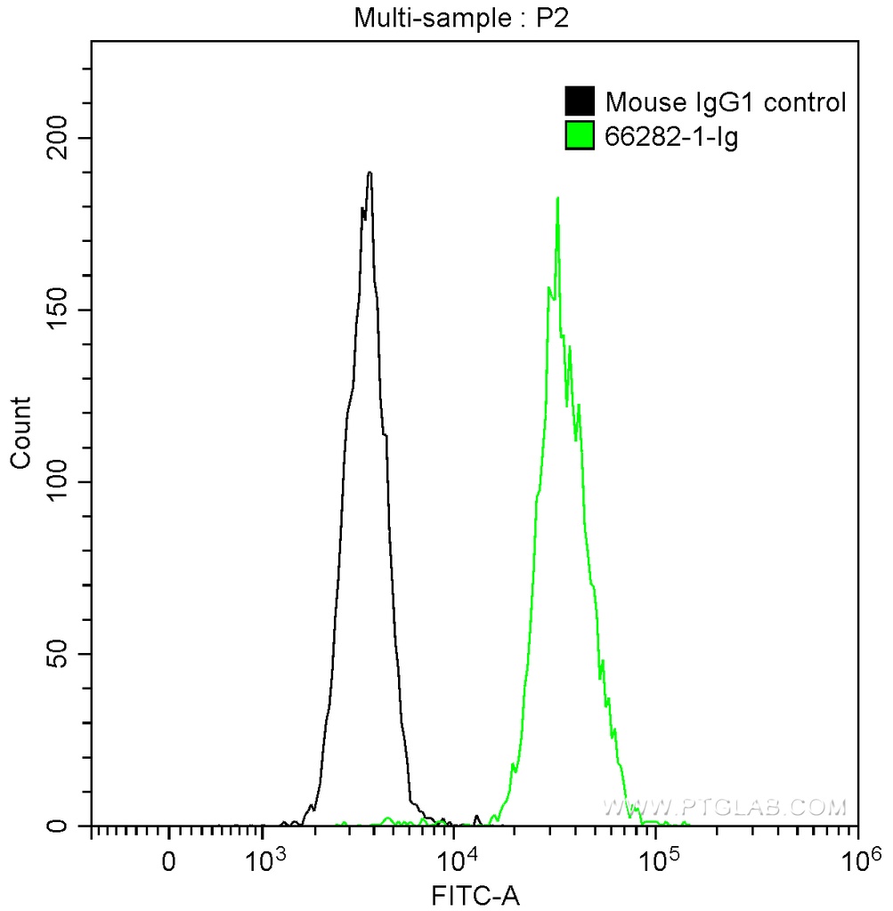 CD200 Monoclonal antibody