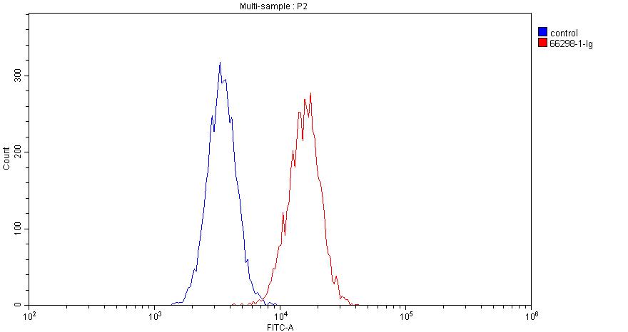 CD19 Monoclonal antibody
