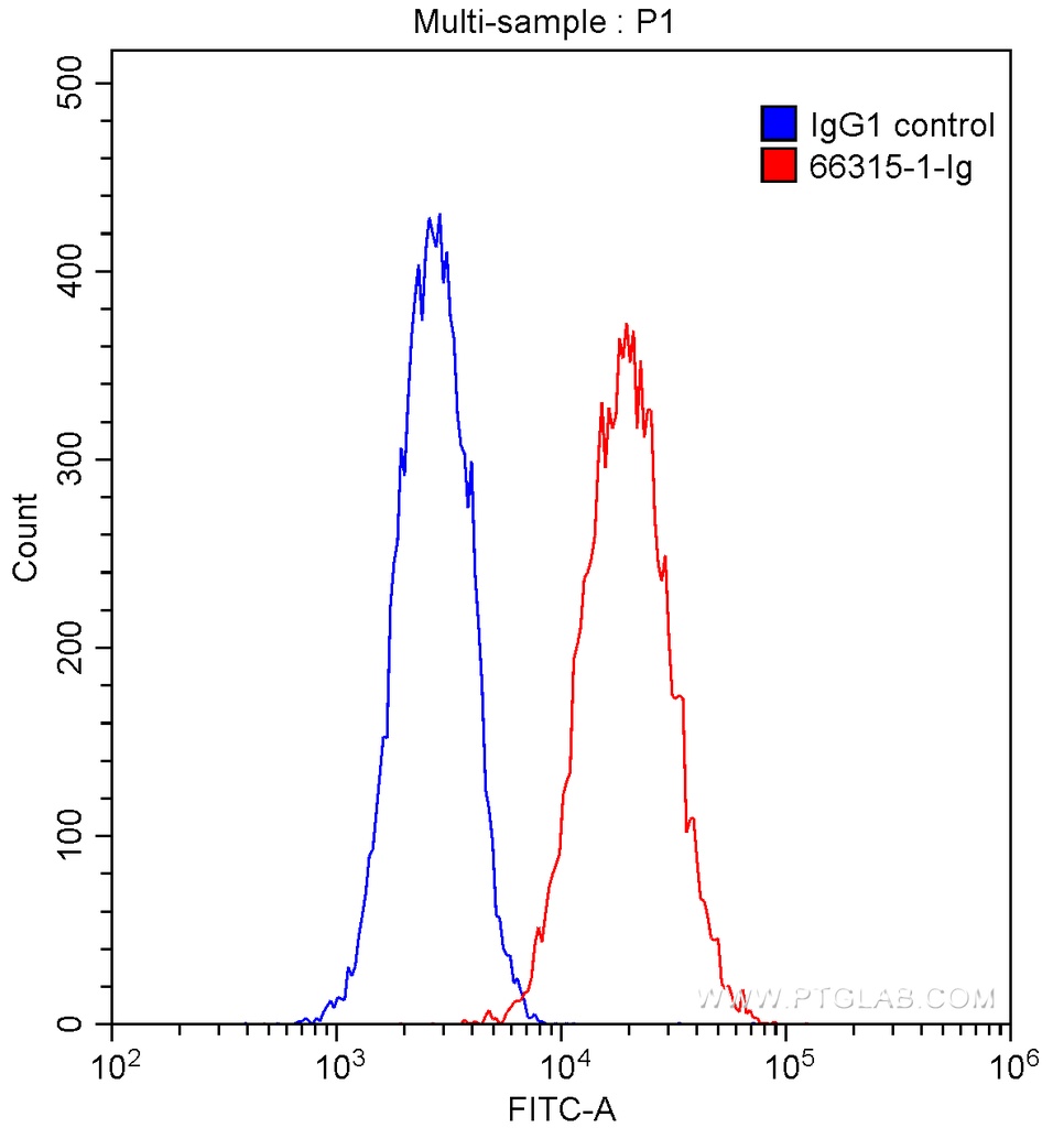 Integrin Beta 1 Monoclonal antibody