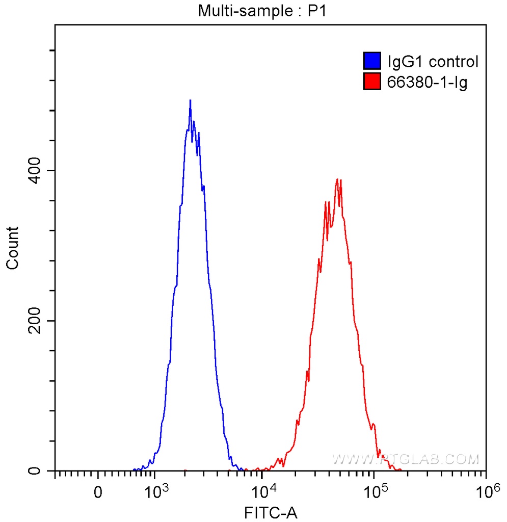 TrkC Monoclonal antibody