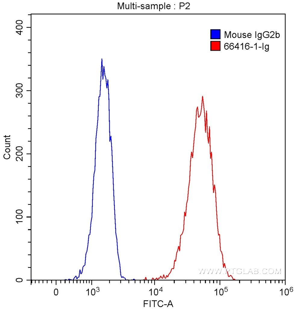 P2RX4 Monoclonal antibody