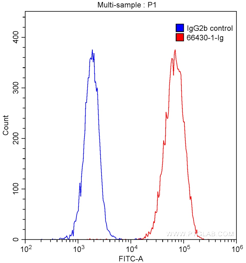 P2RX5 Monoclonal antibody