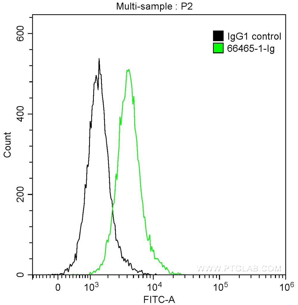 SLP76 Monoclonal antibody